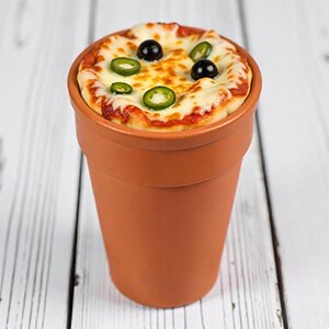 Kulhad Pizza